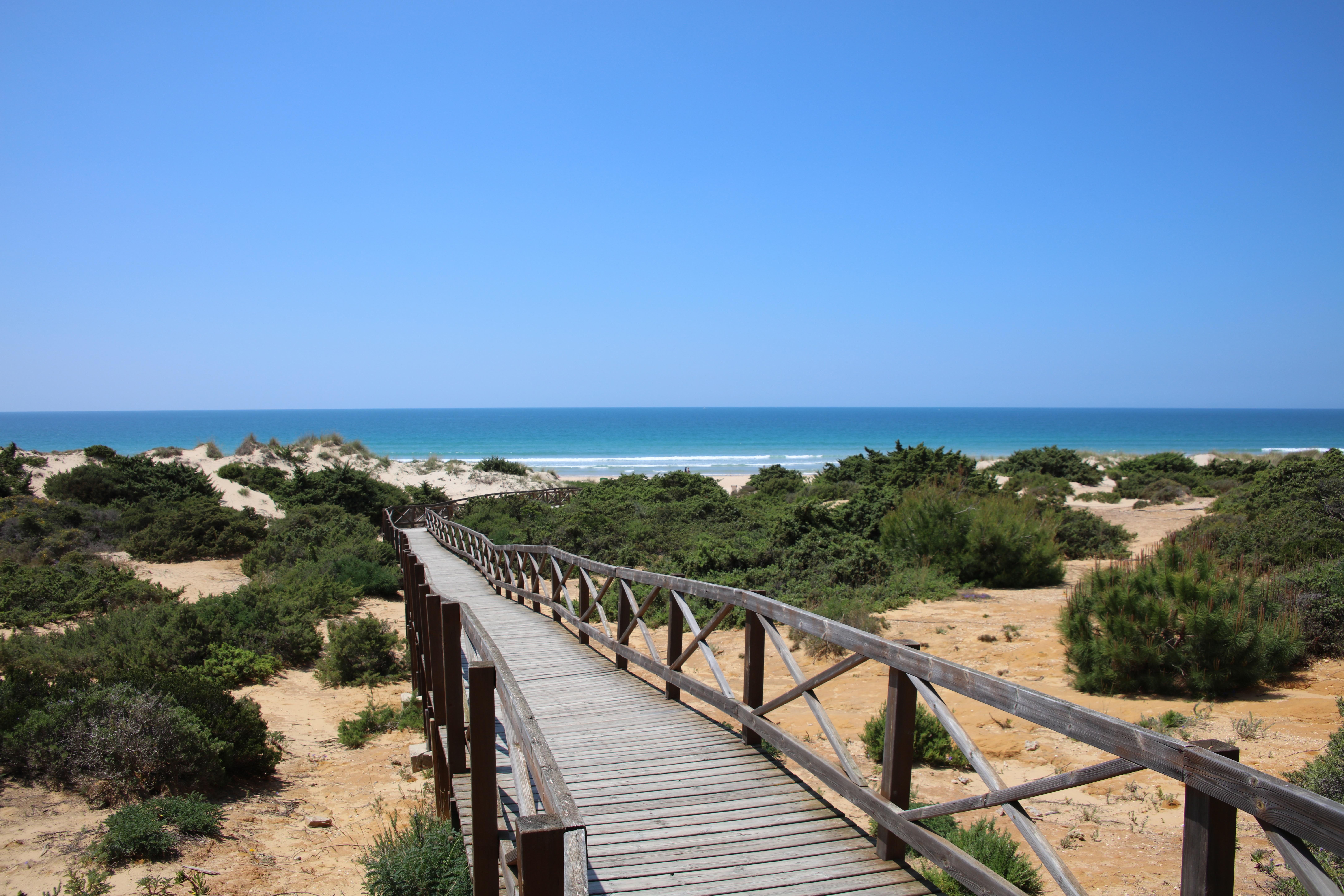 Iberostar Selection Andalucia Playa Hotel Chiclana de la Frontera Ngoại thất bức ảnh The dunes of the beach of Sabinillas